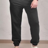 Спортивные штаны Loro Piana Premium signature logo - Grey